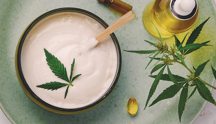 More Knowing About CBD Products